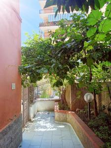 Cortile privato della struttura, con pergola e ingresso